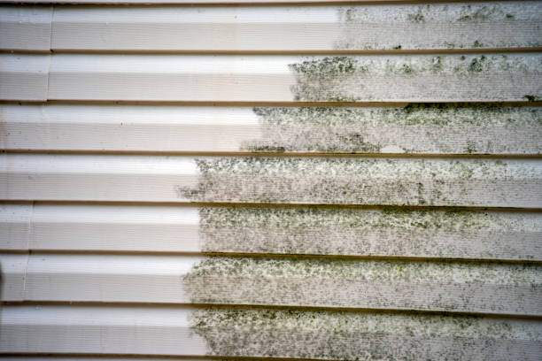 Best Moving and Downsizing Cleanouts  in Sappington, MO