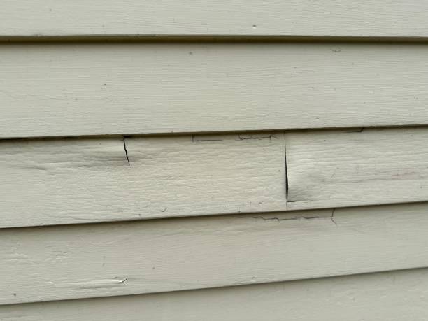 Best Property Management Cleanouts  in Sappington, MO